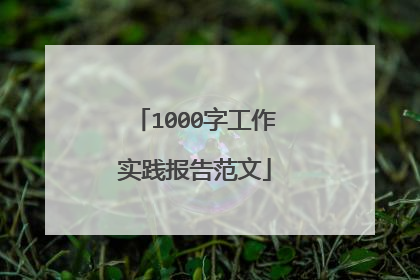 1000字工作实践报告范文