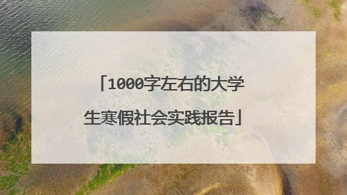 1000字左右的大学生寒假社会实践报告