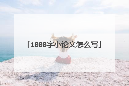 1000字小论文怎么写