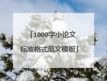 1000字小论文标准格式范文模板