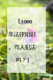 1000条法律知识。骂人犯法吗？