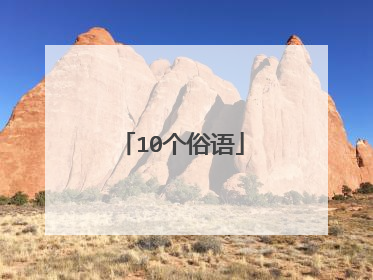 10个俗语