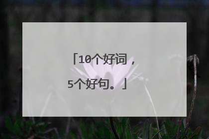 10个好词，5个好句。