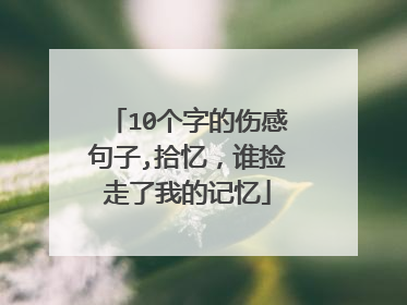 10个字的伤感句子,拾忆,谁捡走了我的记忆