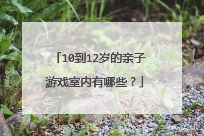10到12岁的亲子游戏室内有哪些?