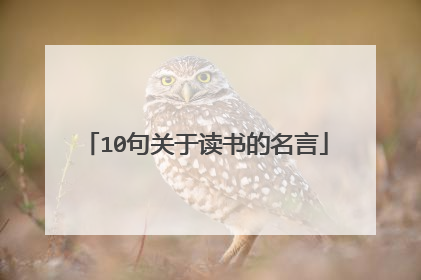 10句关于读书的名言