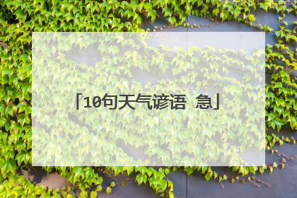 10句天气谚语 急