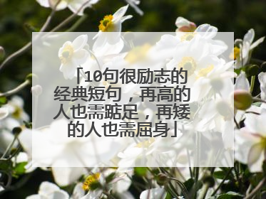10句很励志的经典短句，再高的人也需踮足，再矮的人也需屈身