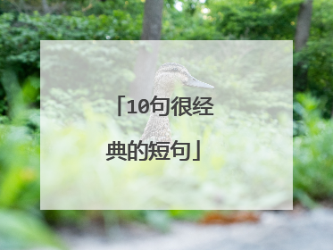 10句很经典的短句