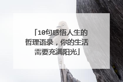10句感悟人生的哲理语录，你的生活需要充满阳光