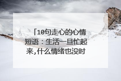 10句走心的心情短语:生活一旦忙起来,什么情绪也没时间表达了。