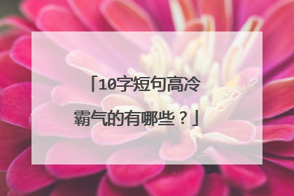 10字短句高冷霸气的有哪些？