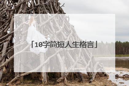 10字简短人生格言