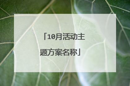 10月活动主题方案名称