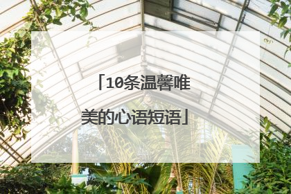 10条温馨唯美的心语短语