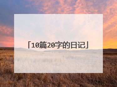 10篇20字的日记