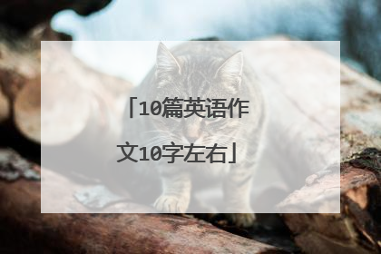10篇英语作文10字左右