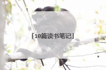 10篇读书笔记