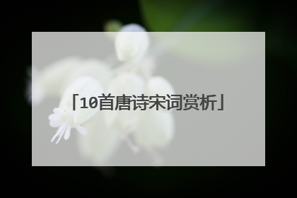 10首唐诗宋词赏析