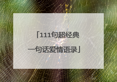111句超经典一句话爱情语录