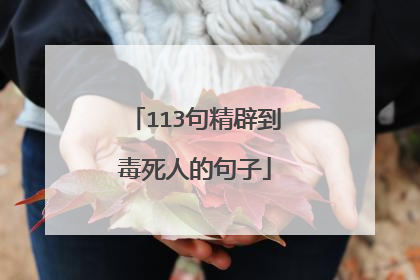 113句精辟到毒死人的句子