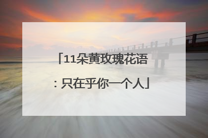 11朵黄玫瑰花语:只在乎你一个人