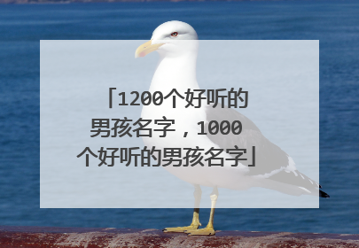 1200个好听的男孩名字，1000个好听的男孩名字