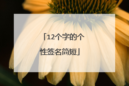 12个字的个性签名简短