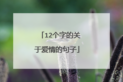 12个字的关于爱情的句子