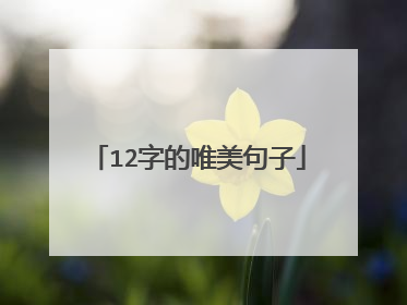 12字的唯美句子