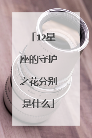 12星座的守护之花分别是什么