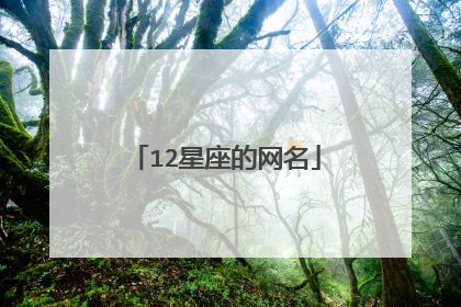 12星座的网名