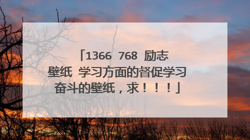 1366 768 励志壁纸 学习方面的督促学习奋斗的壁纸，求！！！