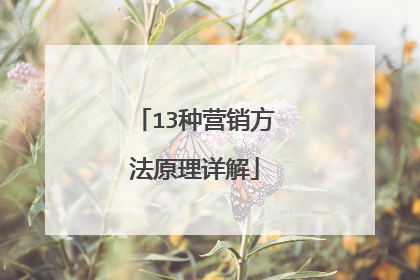 13种营销方法原理详解