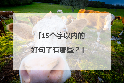 15个字以内的好句子有哪些？