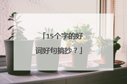 15个字的好词好句摘抄?