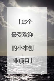 15个最受欢迎的小本创业项目