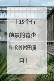 15个有前景的青少年创业好项目