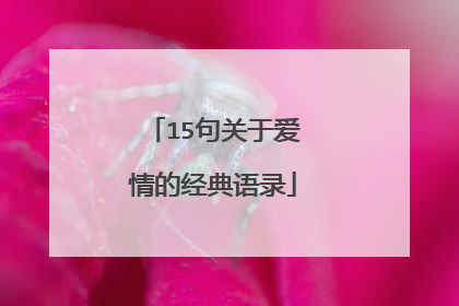 15句关于爱情的经典语录