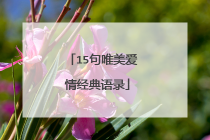 15句唯美爱情经典语录