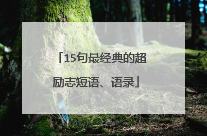 15句最经典的超励志短语、语录