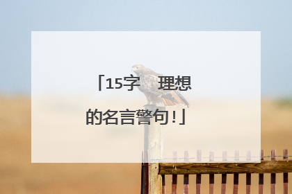 15字  理想的名言警句!