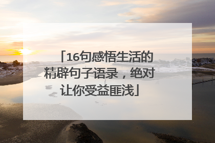 16句感悟生活的精辟句子语录，绝对让你受益匪浅