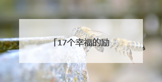 17个幸福的励志名言小故事