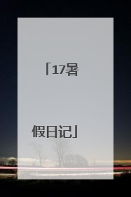 17暑假日记