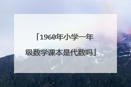 1960年小学一年级数学课本是代数吗