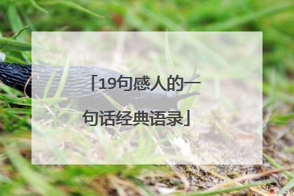 19句感人的一句话经典语录