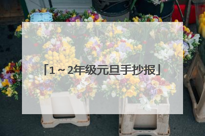 1~2年级元旦手抄报