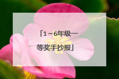1~6年级一等奖手抄报
