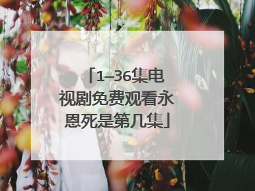 1—36集电视剧免费观看永恩死是第几集
